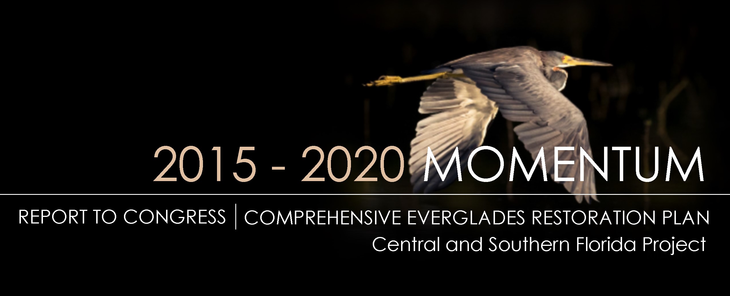 Cover of 2015 - 2020 Momentum Report to Congress - Comprehensive Everglades Restoration Plan - Central and Southern Florida Project
